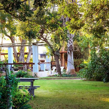 Rosedale Organic Farm Bed & Breakfast Addo Exterior photo