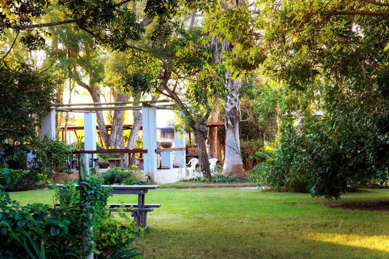 Rosedale Organic Farm Bed & Breakfast Addo Exterior photo