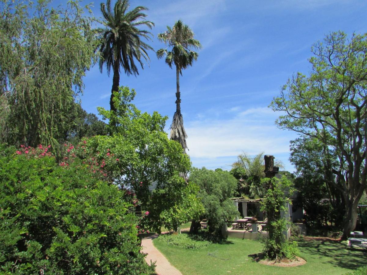 Rosedale Organic Farm Bed & Breakfast Addo Exterior photo