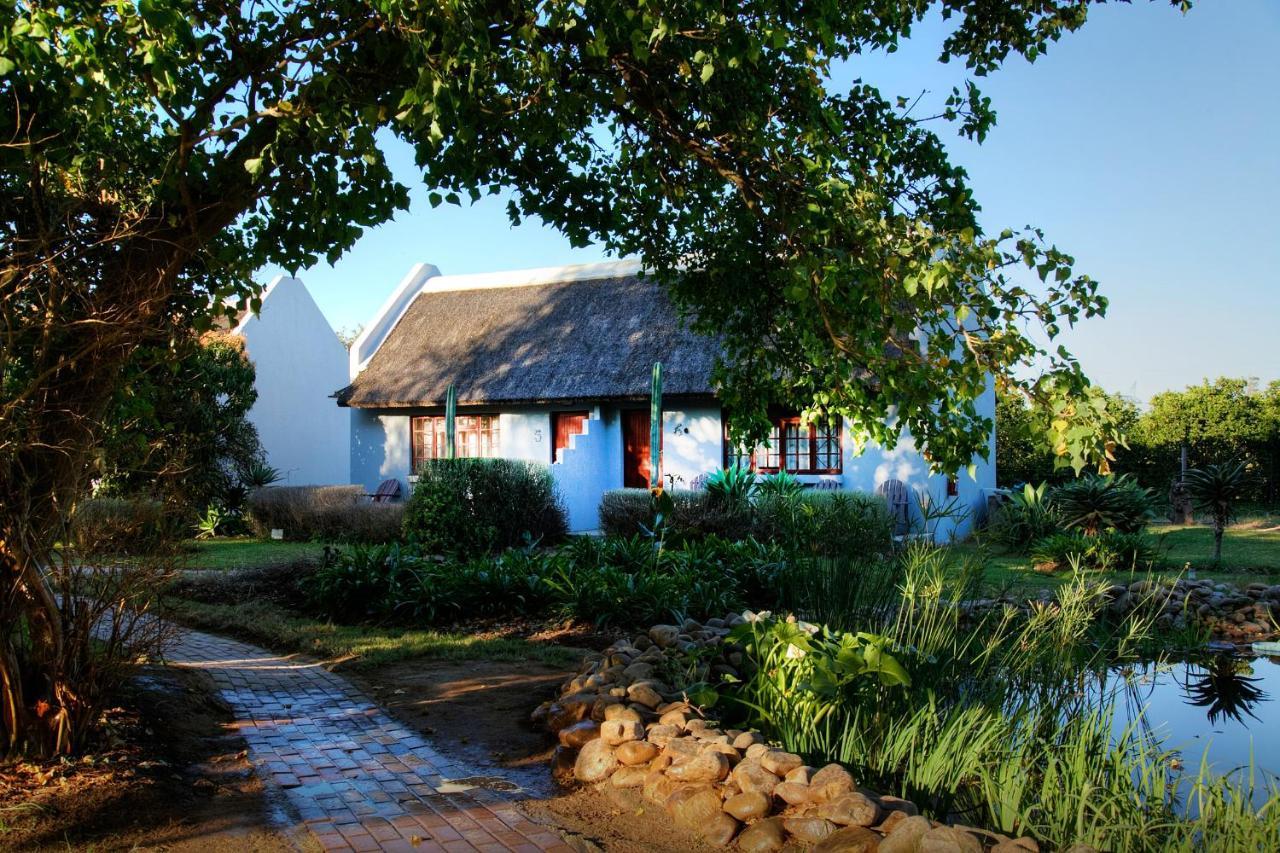 Rosedale Organic Farm Bed & Breakfast Addo Exterior photo