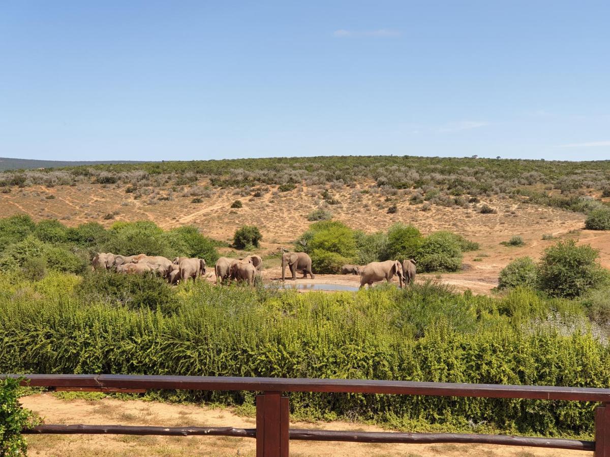 Rosedale Organic Farm Bed & Breakfast Addo Exterior photo